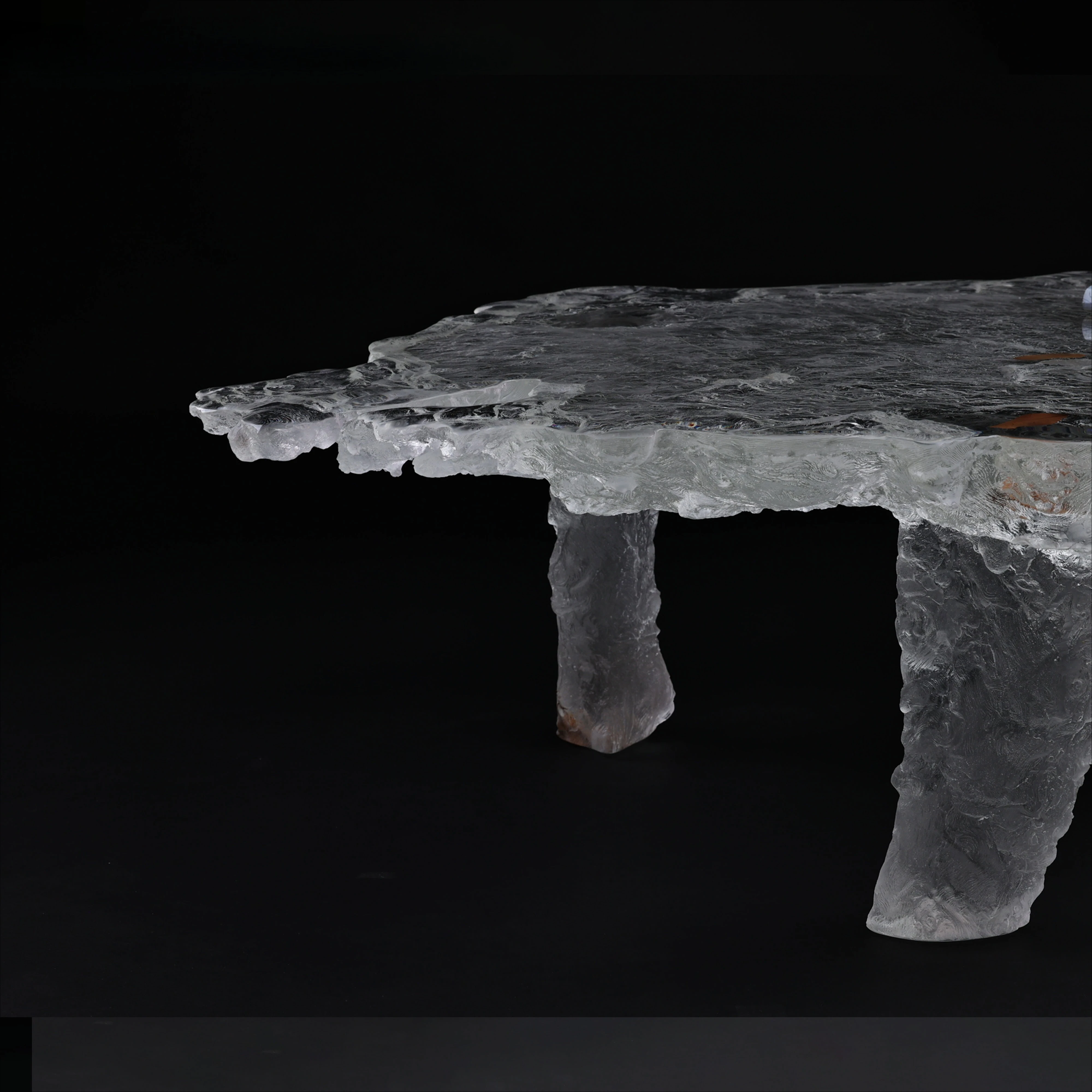 High-end Luxury 3 Legs Irregular Low Table Acrylic (Non-Resin) True Dried Plant Embedded Translucent Art Deco Furniture