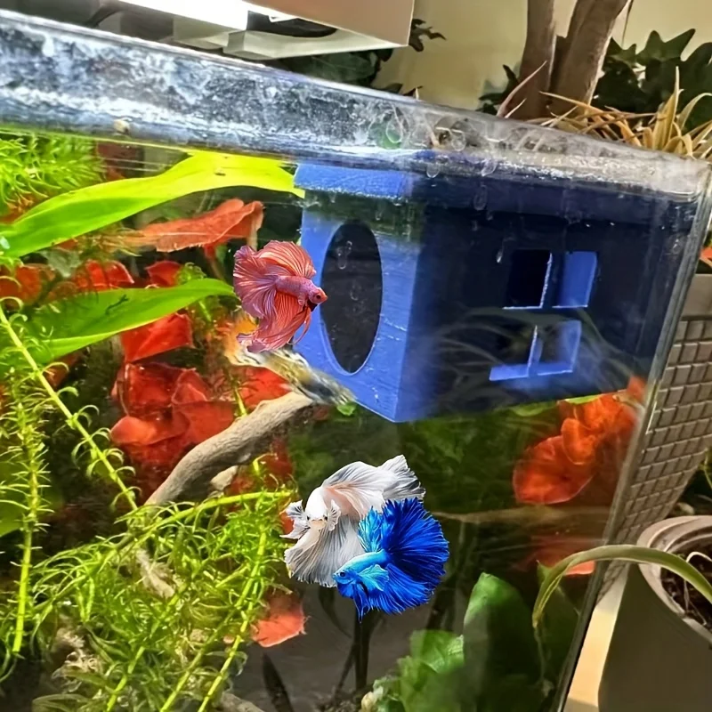 Плавающая рыба/боевая рыба/рыбный домик — идеальное место для отдыха или скрытия для любых рыб, сиамская боевая рыба