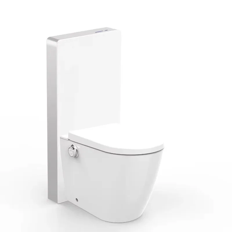 Wall Hung Ceramic Detachable Lid Bathroom Intelligent Toilet Seat One Piece Shower Toilet CE Qualified Smart Toilet