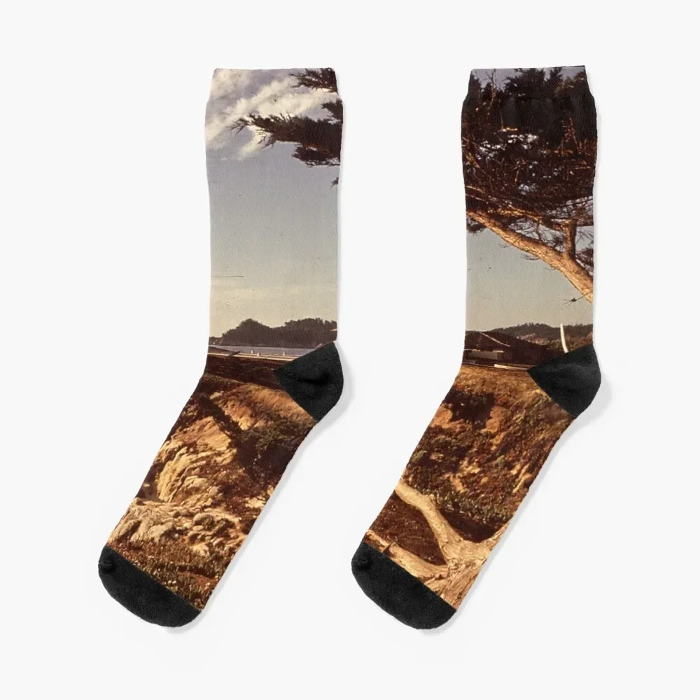 

California Carmel Beach NARA 543336 Socks ankle custom Men Socks Women's