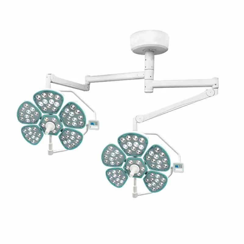 Electric Wall-Mounted LED Auxiliary Operation Lamp 5+5 Petals Operating Shadowless Lamp for Hospital Use