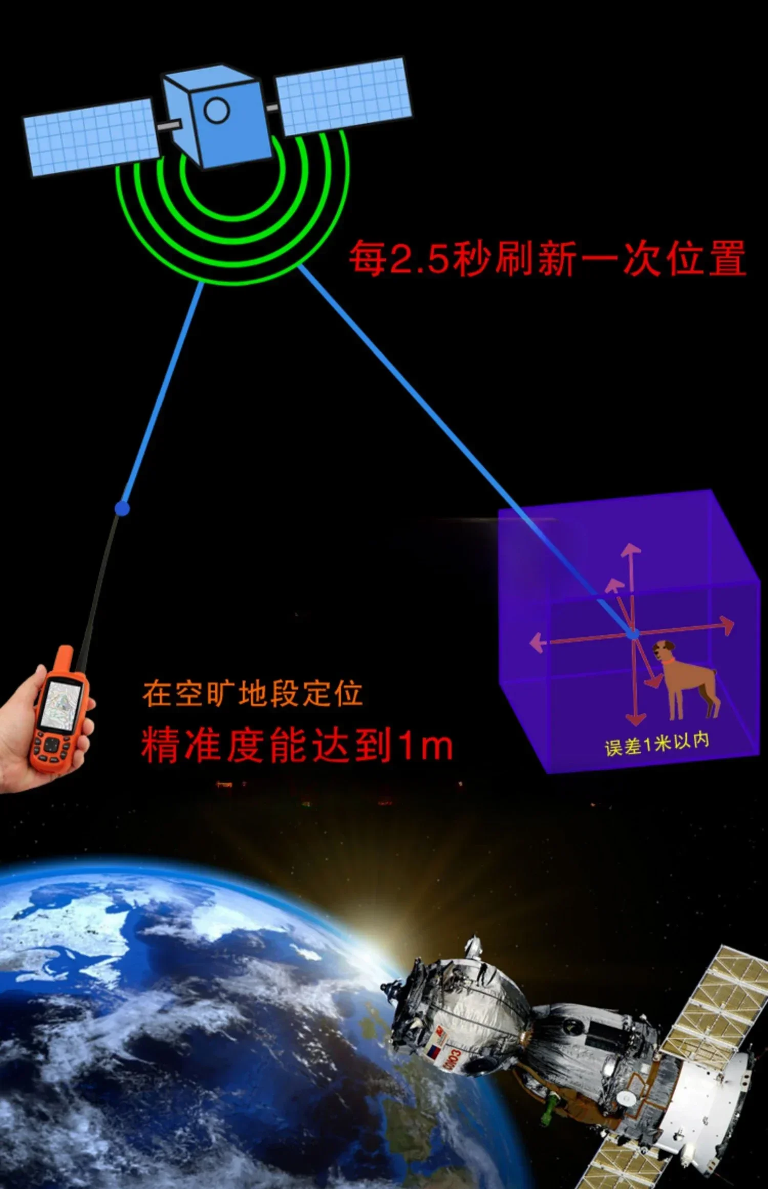 TT15 Hound Tracker Collar Dog Positioning