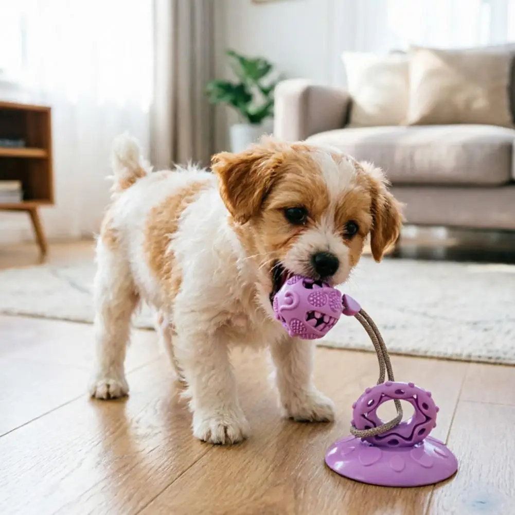 

Dog Food Dispensing Teething Toy with Treat Dispenser for Small Medium Dog Exercise Intelligent Food Dispensing Interactive Play