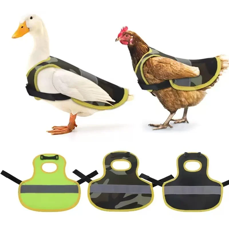 

Chicken and duck clothes pet reflective vest chicken apron chicken clothes pet reflective vest chicken apron