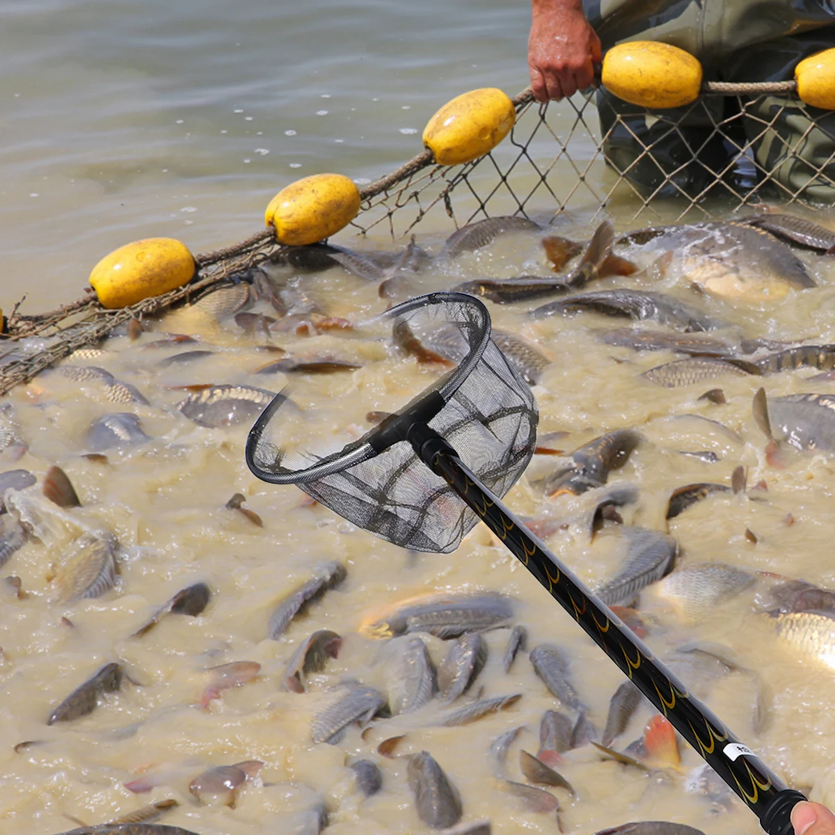 

Pole Pool Skimmer Pool Skimmer Net Portable L Aluminum Alloy Fishing Net With Telescopic H Durable Fishing Tool