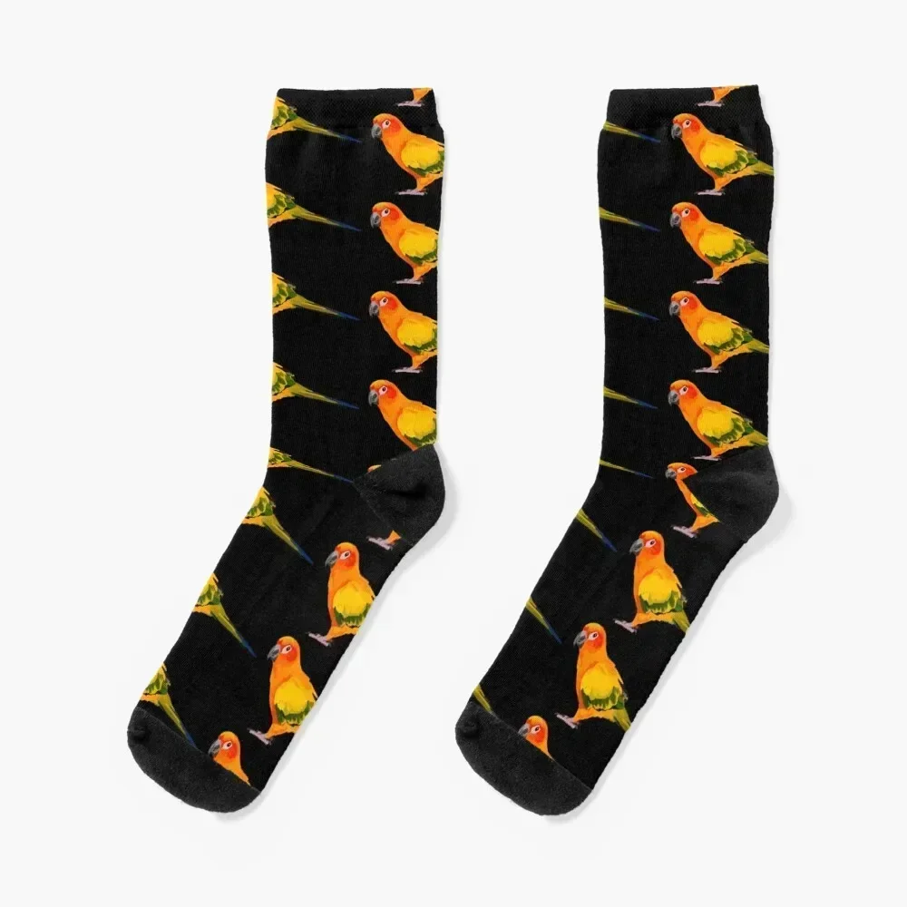 S is for Sun Conure Socks Soccer Christmas moving stockings men cotton high quality Socks For Women Men's