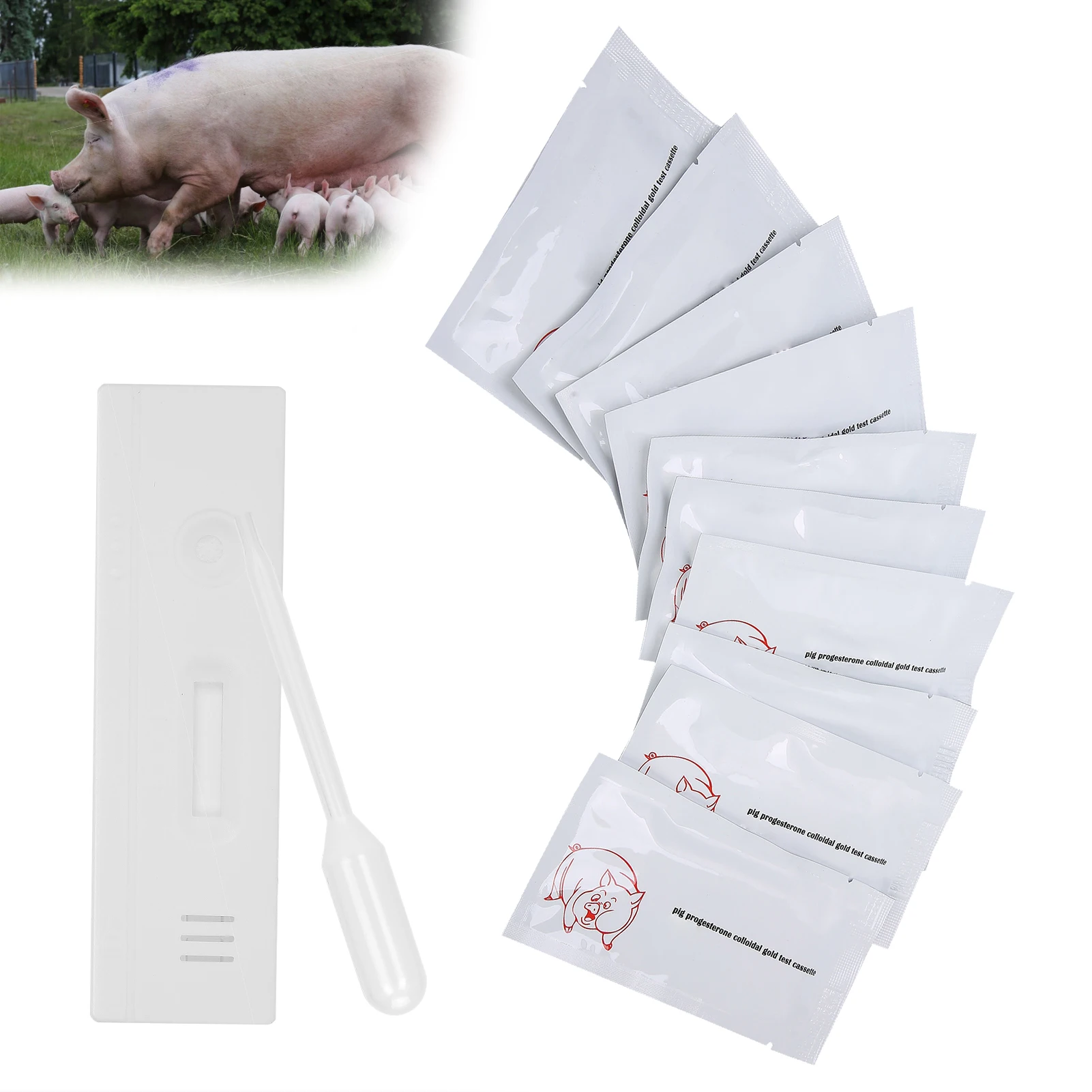 10Pcs Pig Pregnancy Test Strip Early Pregnant Detection Testing Tool Livestock Supply