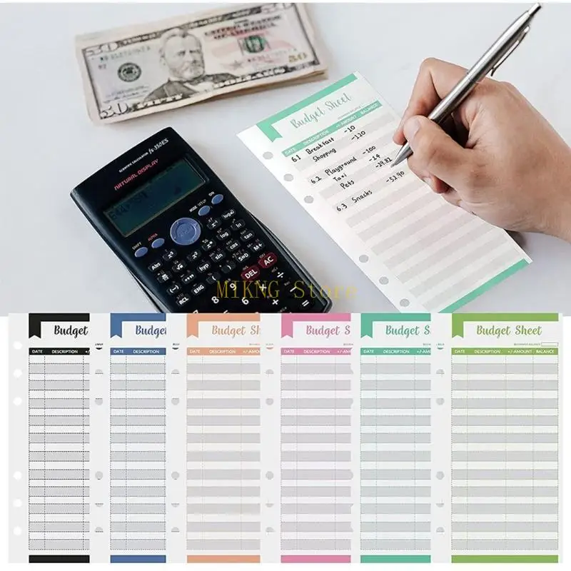 Budget/ Finance/ Money Planner 12 Budget Sheets Plan Weekly or Monthly best sale
