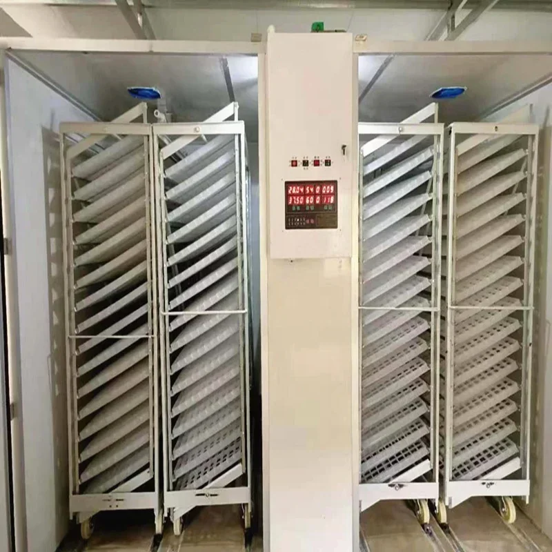 19200 Chicken Egg Incubator Automatic Large Capacity Poultry Large Egg Incubator Best Price Big Size Setter Machine