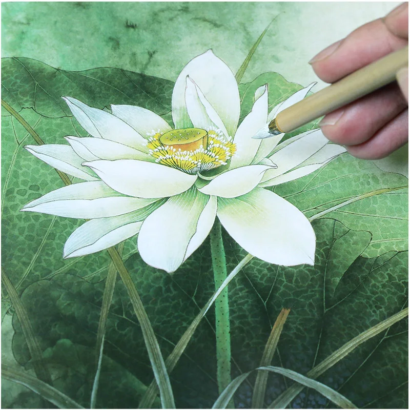 

Chinese Painting Line Draft Ripe Rice Paper Lotus Flowers Birds Peony Coloring Meticulous Painting Line Drawing Manuscript