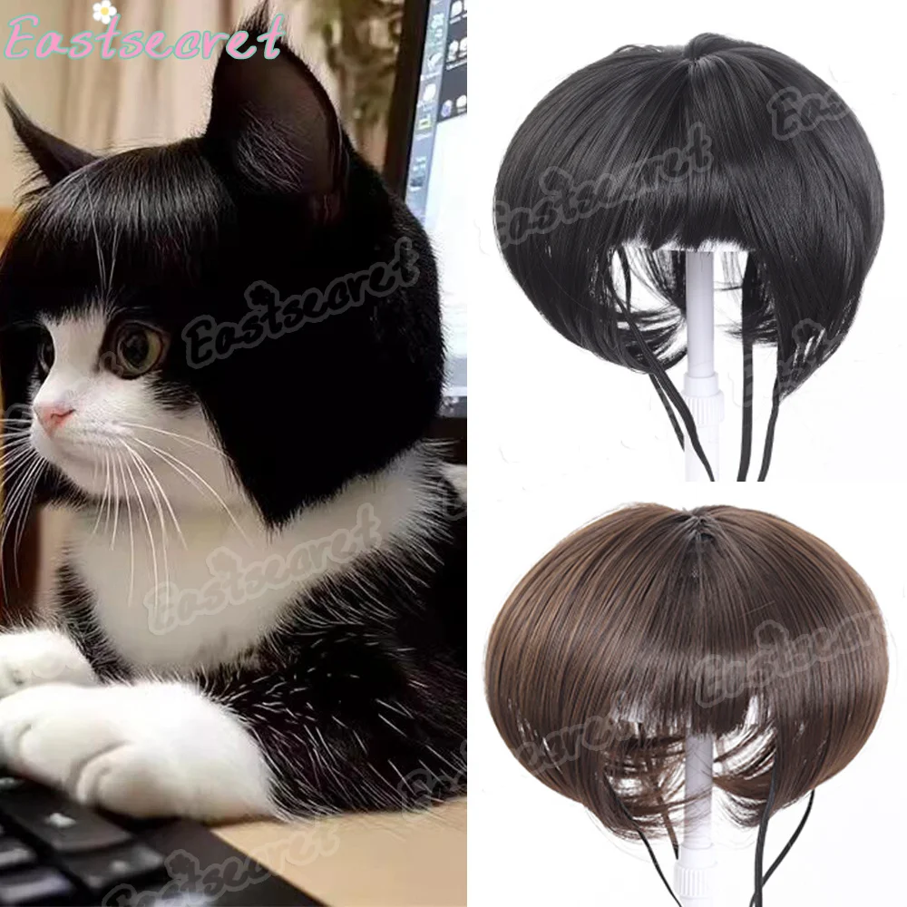 EAST Synthetic Pet Wig Cute Black Straight Bangs Hair Wig Funny Stylish Headwear for Cats & Small Dogs Pet Hair Accessories