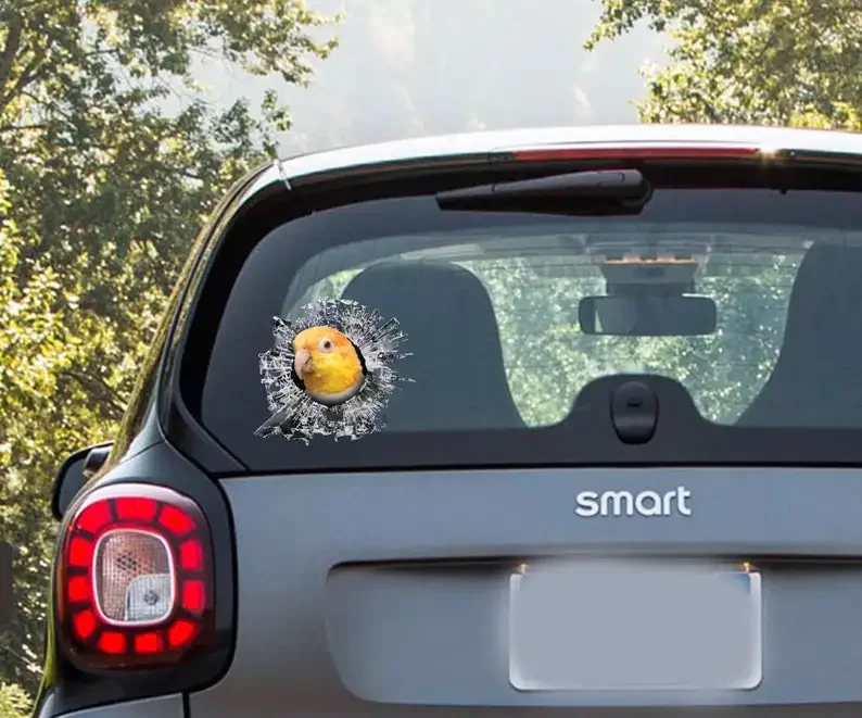 Autocollant de fenêtre de voiture Caique rouillé, autocollant de voiture de perroquet, autocollant drôle