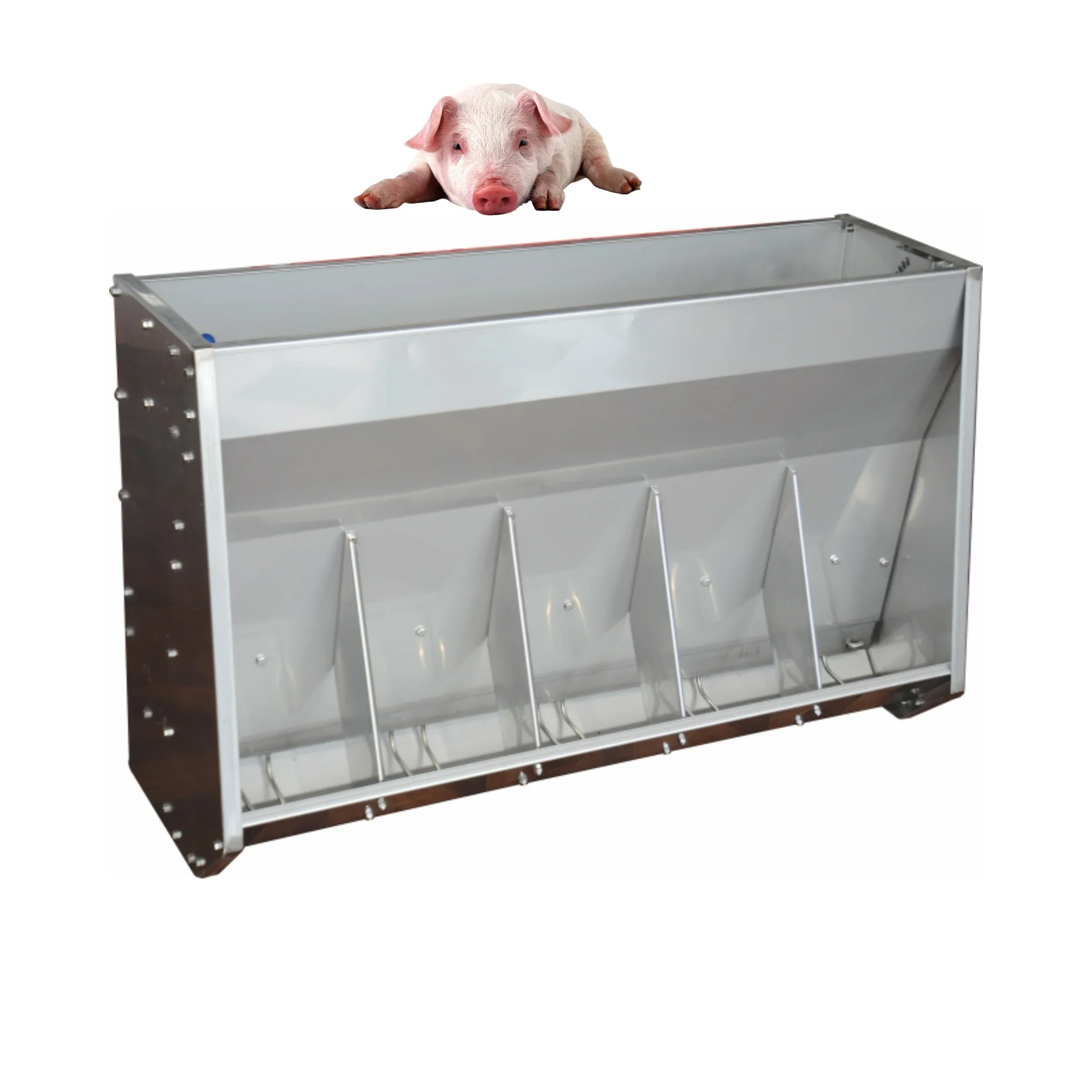 The best-selling stainless steel durable automatic pig trough pig raising equipment pig supplies