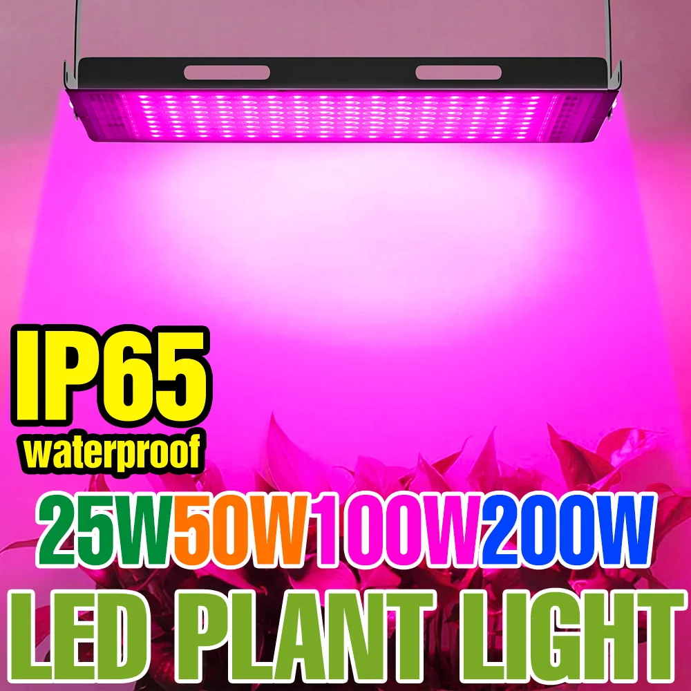 

200W LED Full Spectrum Plant Grow Light 220V Indoor Succulent Cultivate Lamps Tent Vegetables Flowers Hydroponics Fill Lighting