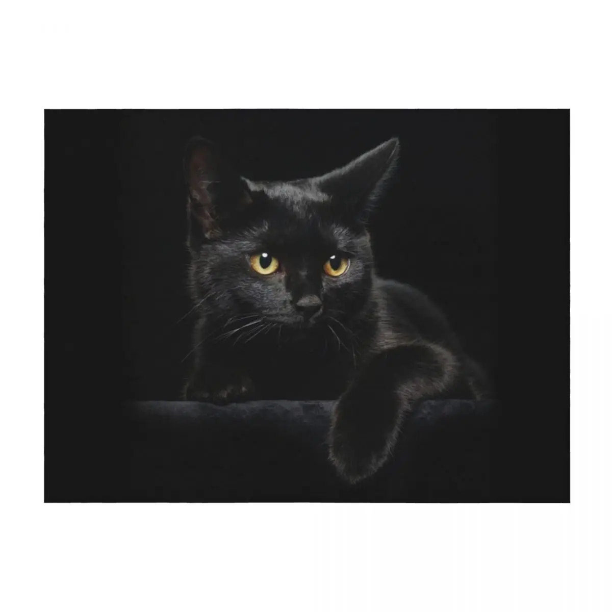 

Black Cat Throw Blanket Multi-Purpose wednesday Luxury Cute Blankets