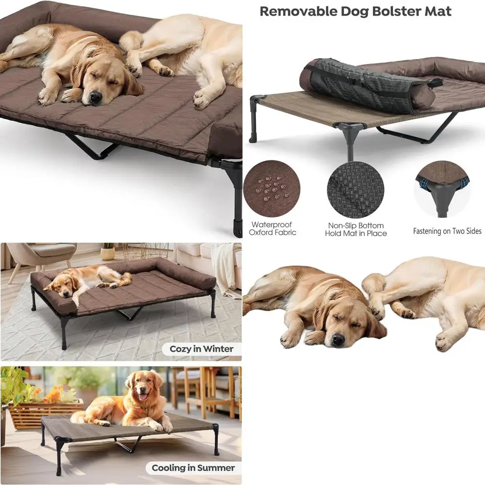 Elevated Dog Bed Wi…