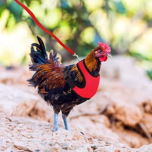 مقود تسخير الدجاج قابل للتعديل ، مريح وقابل للتنفس ، صغير الحجم ، سترة للحيوانات الأليفة للدجاج ، البط ، الإوزة ، التدريب ، المشي أعلى 8 مبيعات لطوق الدجاج - رقم 5