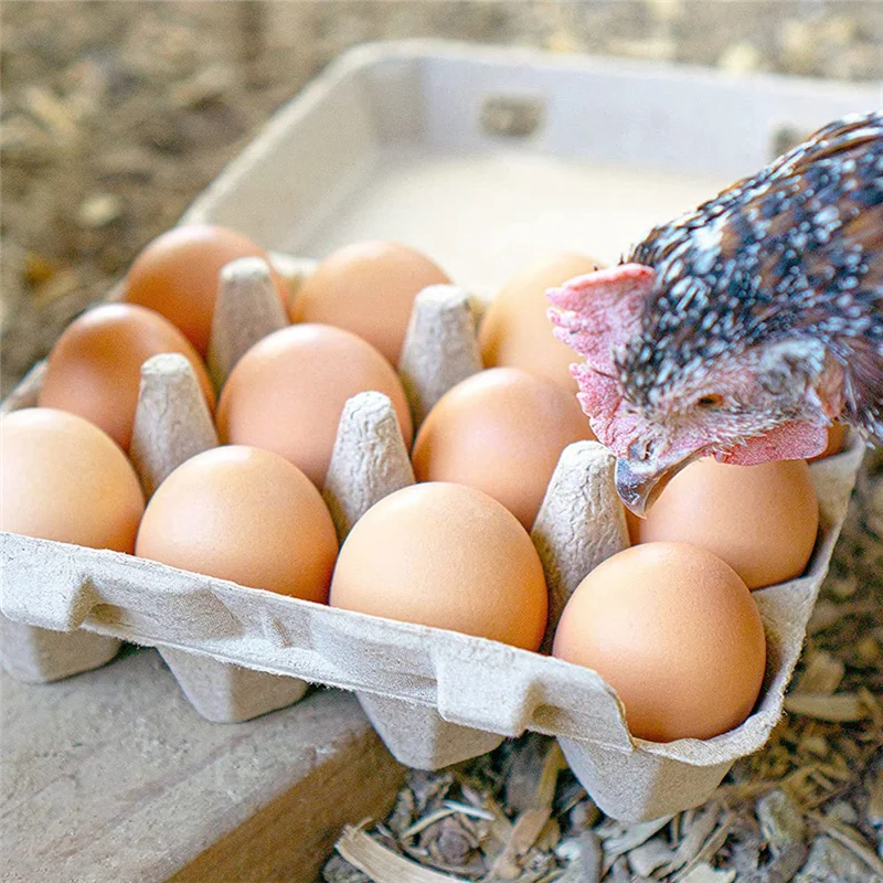 Caixas de ovos estilo PB-Classic 3X4 - comporta 12 ovos, material ecológico (30 unidades)