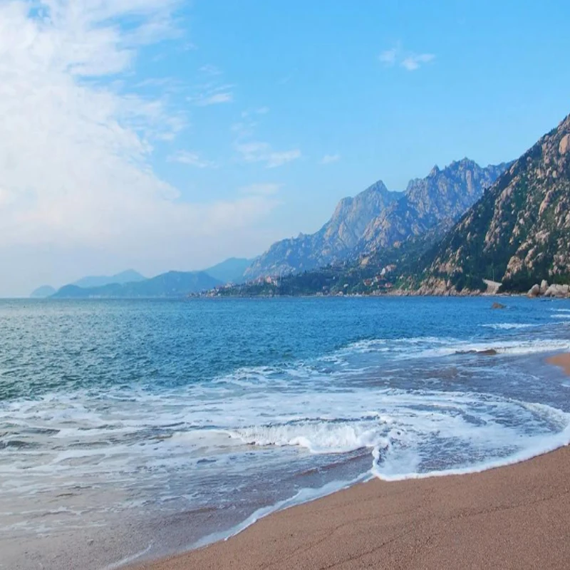 

JX Servo PDI-2205MG MJX 14210 14209 4.6KG 22G Metal Gear Digital 3 Wires For Riaaria 1/12 14 RC Car FY01 SB1508 Upgrate Parts