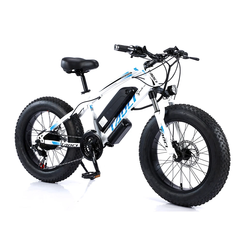 

750W 48V Fat Tyre E Bike Mountain Electric Bike 20 Inch Fat Tire Electric Bicycle With Shimano 21 Speed