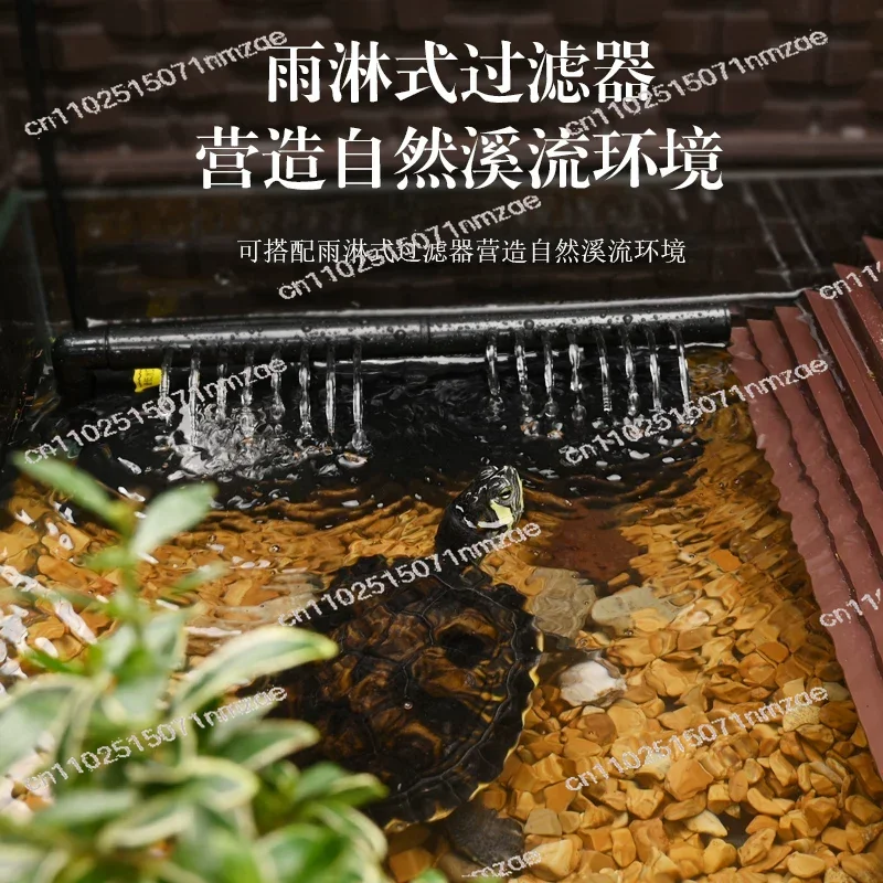 Yellow-Margined Box Turtle Special Aquatic-Terrestrial Habitat Tank, Complete Home Landscaping Breeding Kit