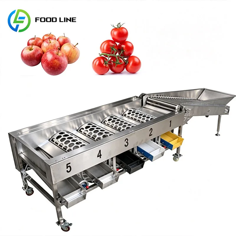 Small Fruit Grading Machine Fruit Sorter Size Grader for Longan Grape Kumquat Loquat Customized