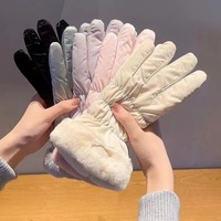 Women's Thermal Touchscreen Winter Gloves Elastic Split-Finger Design for Skiing, Motorcycle Riding & Outings Snow Warm Gloves