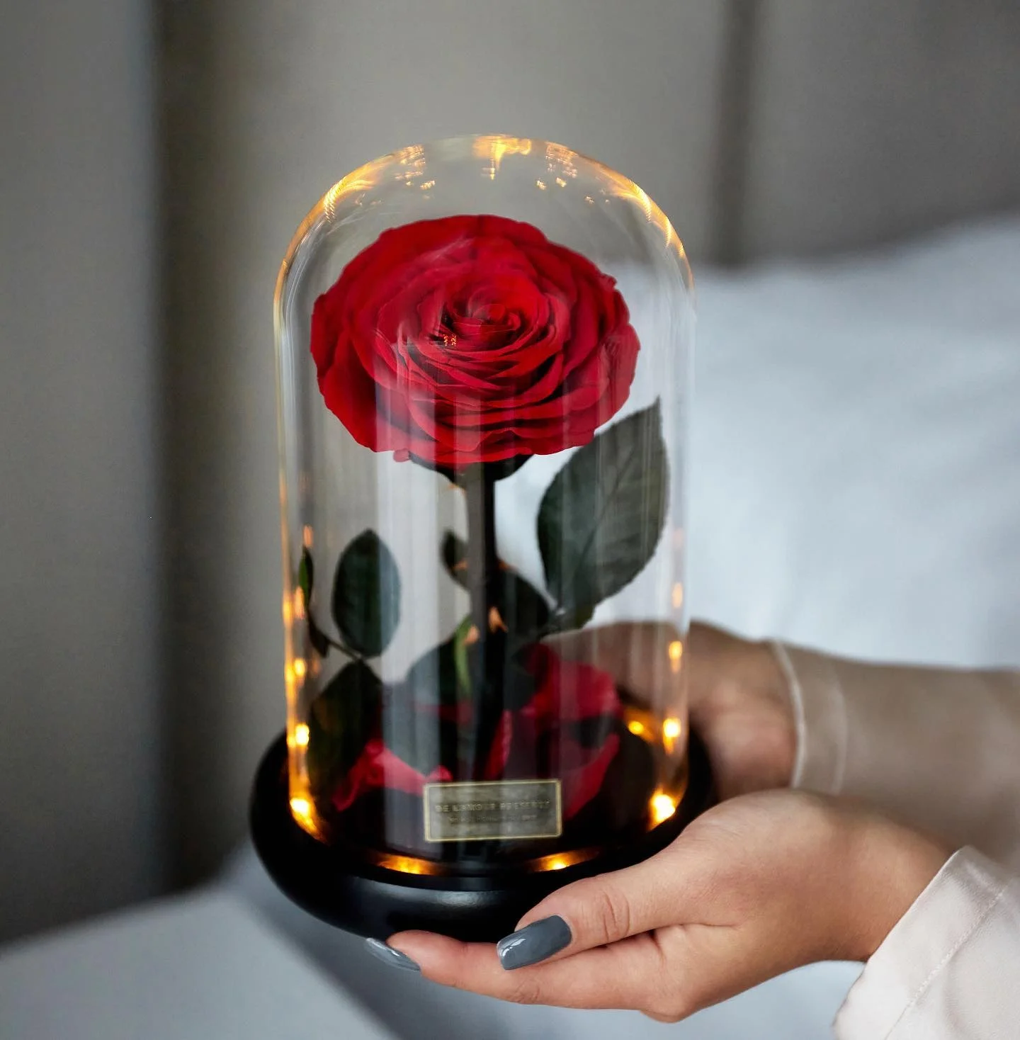 Wholesale  Logo Red Eternal Forever Rose Flower Gift Packaging Heart Box Valentines  Preserved Roses In Glass Dome