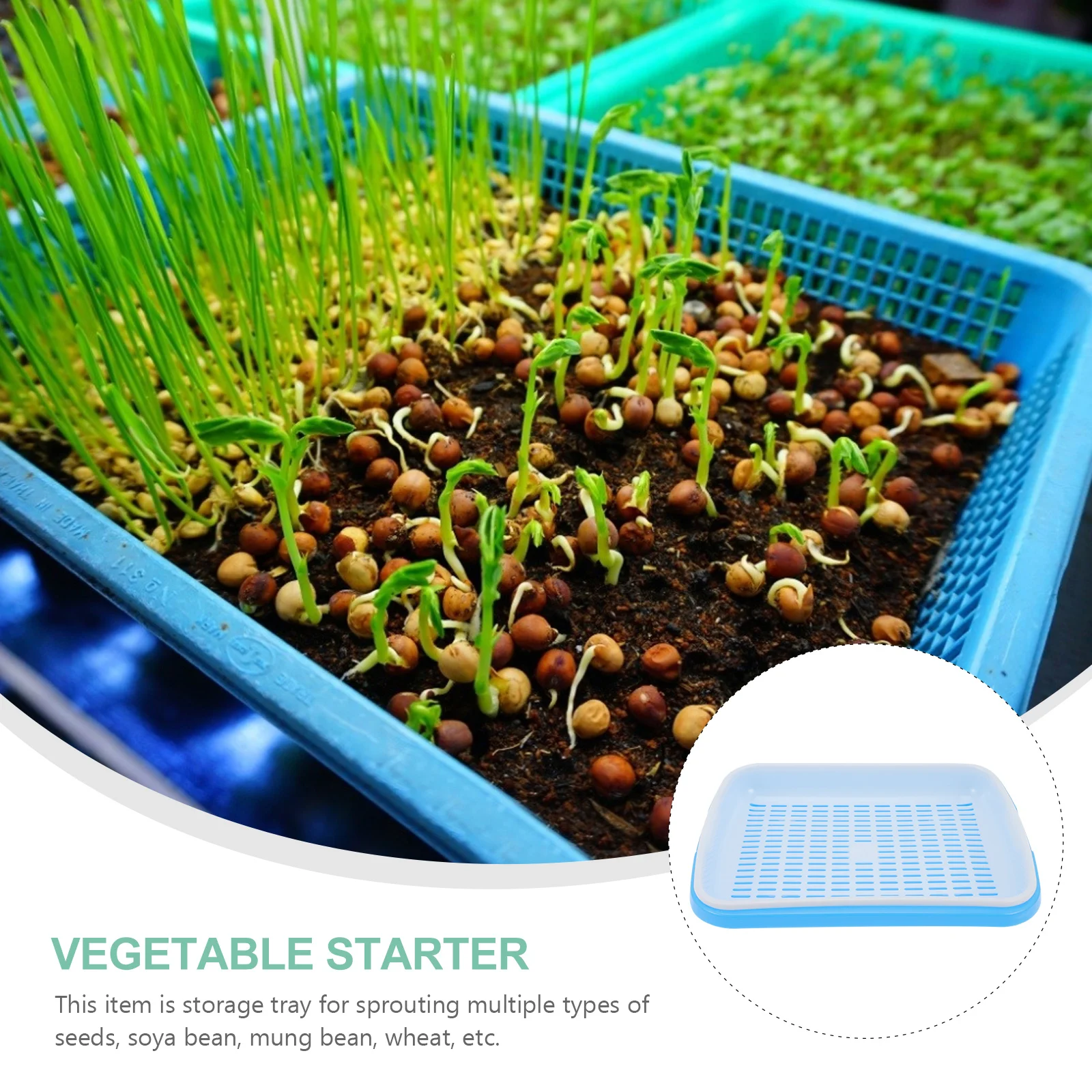 

Planting Tray Sprout Sprouting Trays Suite Indoor Germination Fodder Plastic Potting