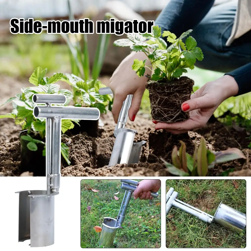 Plant And Fruit Tree Seedling Transplanter Stainless Steel Garden Barrel Transplanter Plant Flowers Diging Seedlings Artifact