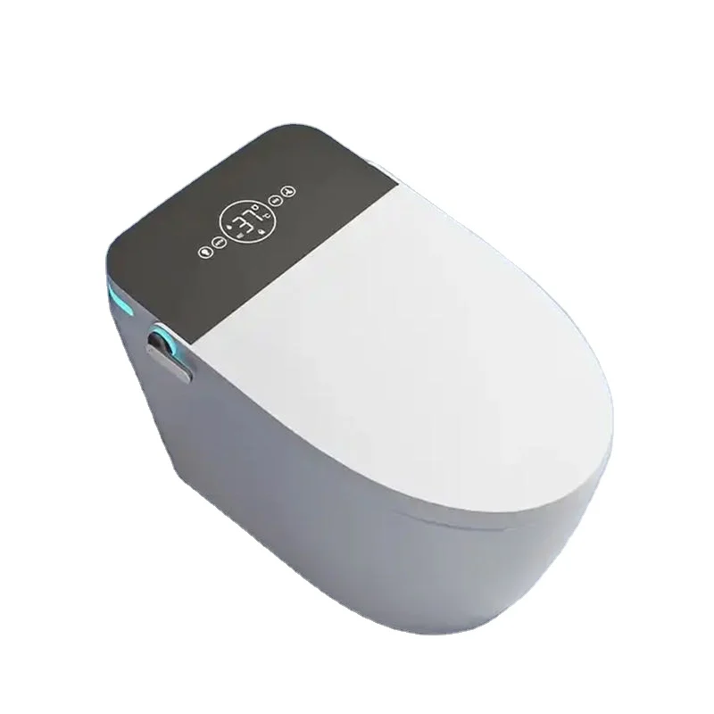 

Bathroom Smart Toilet Bidet Sanitary Ware Automatic Toilet Ceramic Intelligent Toilets