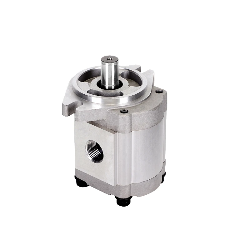 Chinese Factory Customized Safe and Stable Car Machinery Hydraulic Pump Gear Pump STOCK