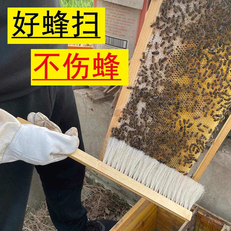 soft Double row bee sweeping brush Ponytail Apicultural tools NO.TXF-1067