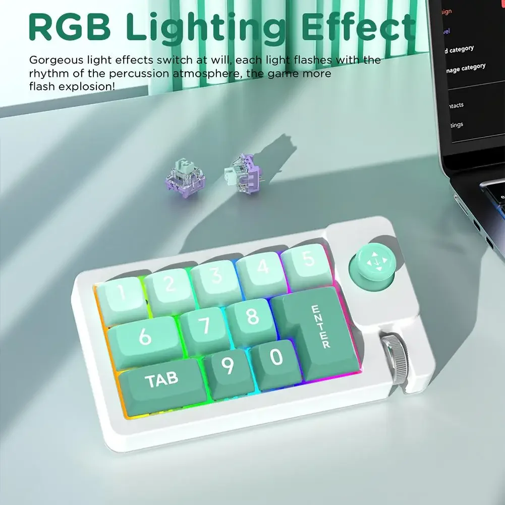 12 Key Custom Macro Programming Numpad Gaming Mini Keyboard Fully Hot Swappable Mechanical Switch RGB Light For Mac Win
