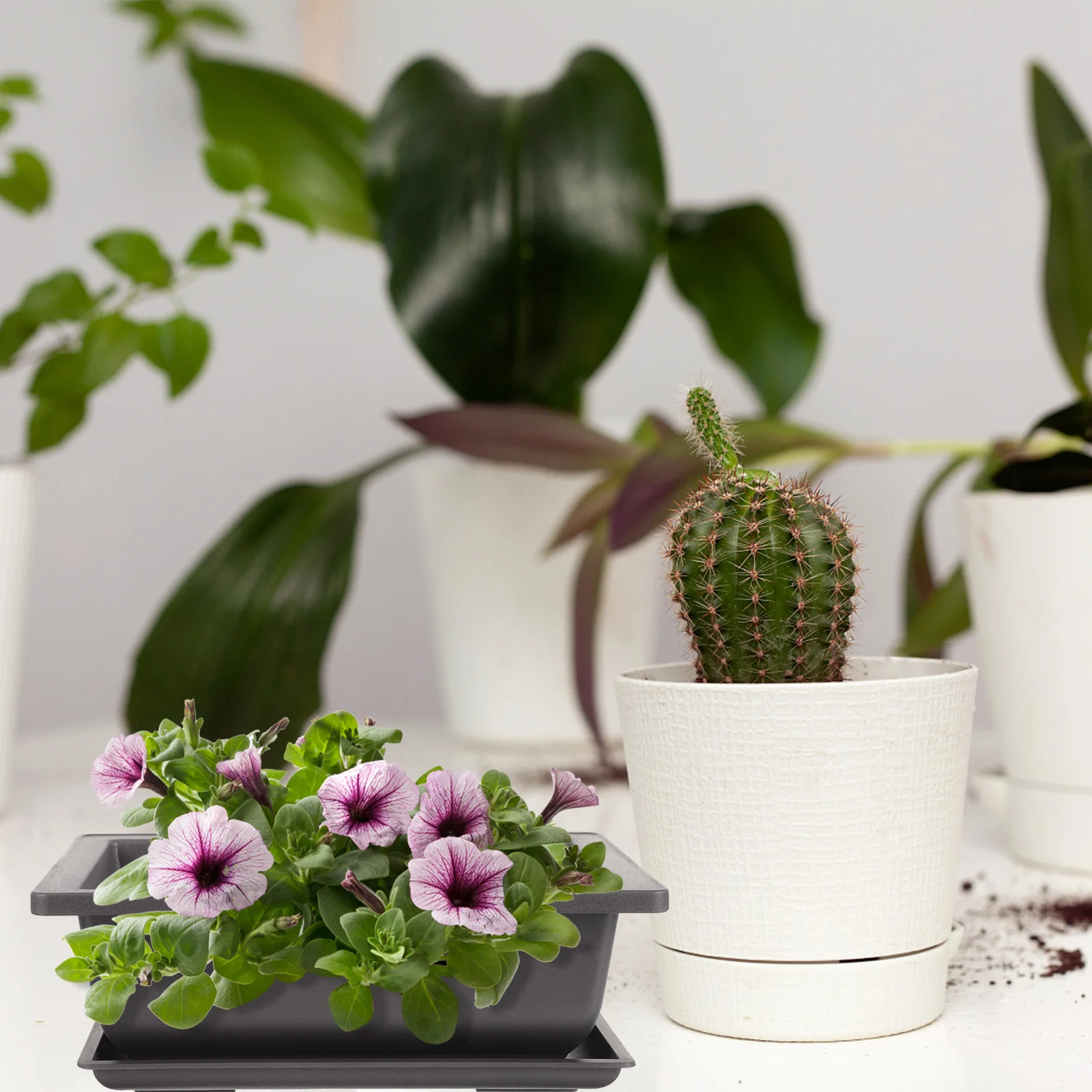 

2Sets Plastic Plant Pots Small Bonsai Containers for Indoor Plants with Tray Floor Windowsill Balcony Garden Decorative Use