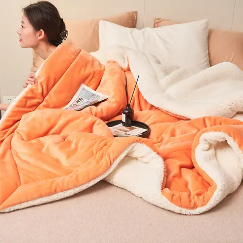 सुपर सॉफ्ट नकली लैम्ब्सवूल कंबल शरद ऋतु सर्दियों डबल क्वीन कंबल उच्च गुणवत्ता वाले आरामदायक दूध ऊन सोफा कंबल 8 best sales सर्दियों का कंबल - №4