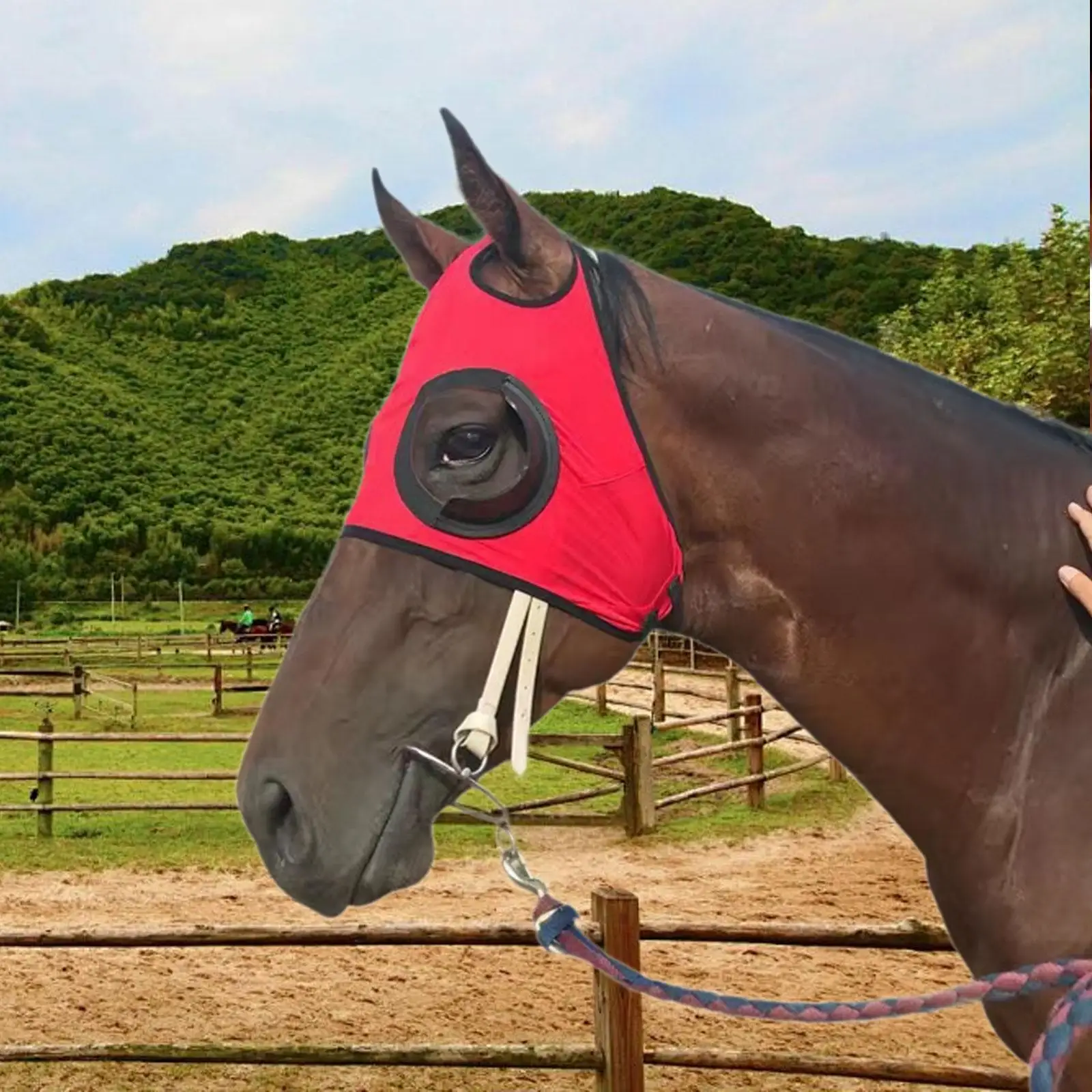 

Очки для лошадей, оборудование, полиэстер, чехол для глаз лошади, маска для лошади, очки для верховой езды