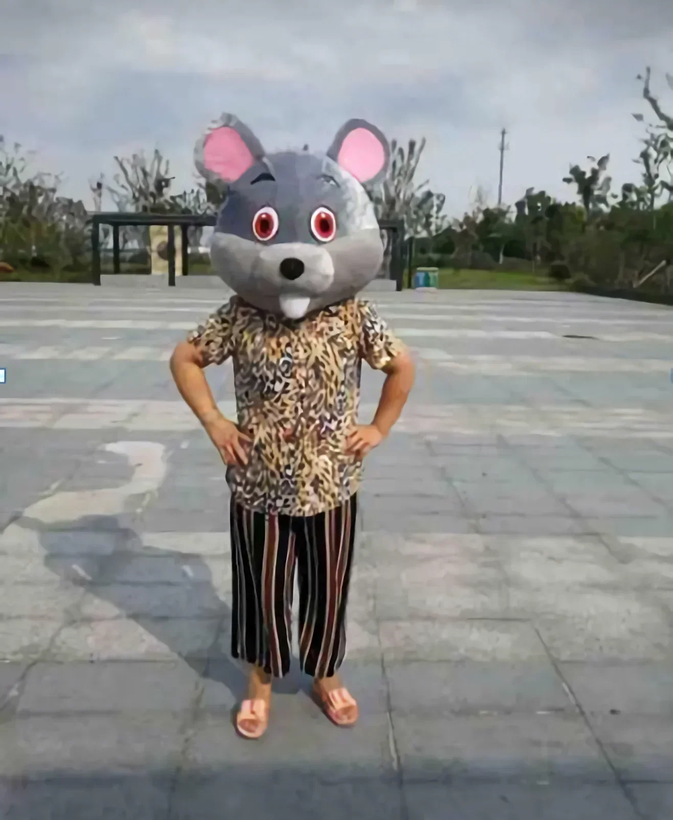

Halloween Animal Headsets, Mascot Dolls, Cheerleading Headsets, Animal Cosplay Plush Headsets Mascote Costumes