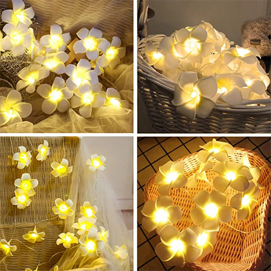 Guirxiété lumineuse fleur d'oeuf de simulation, décorations de Noël, batterie 62, guirxiété créative, fête de mariage, lumières dégradées, 6m, 40