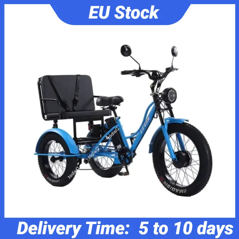 Eltern-Kind-3-Rad-Fettreifen-Elektrofahrrad mit Beifahrersitz, Familie, 750 W, 48 V, elektrisches Dreirad, Lastenfahrrad für Erwachsene, zwei Personen