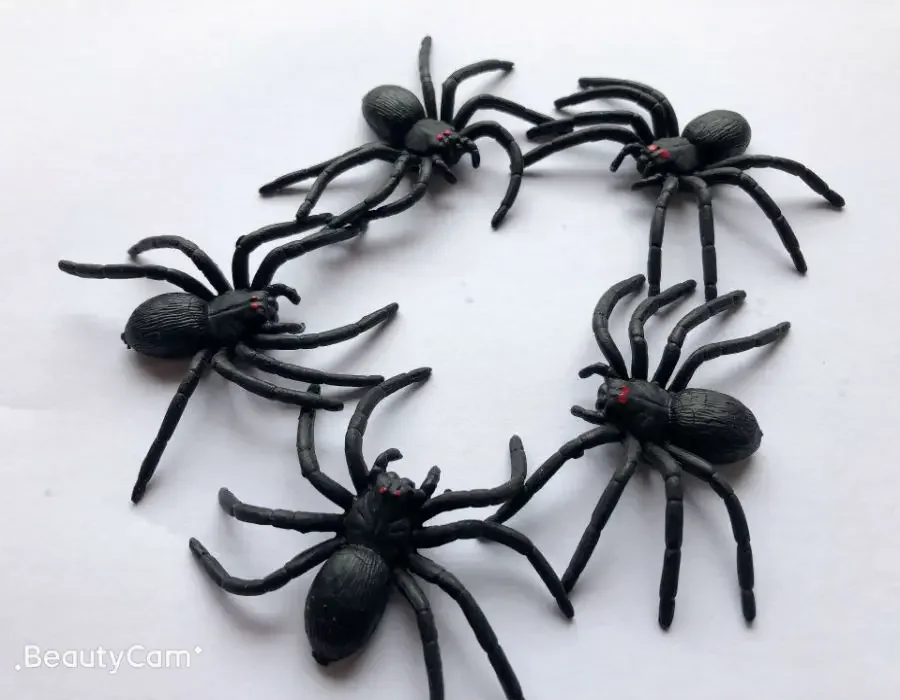 Outdoor Fun Sport Halloween Simulatie Spider Fly Kakkerlak Prank Speelgoed Nieuwigheid Gag Speelgoed Verjaardagscadeau voor vriend of kinderen