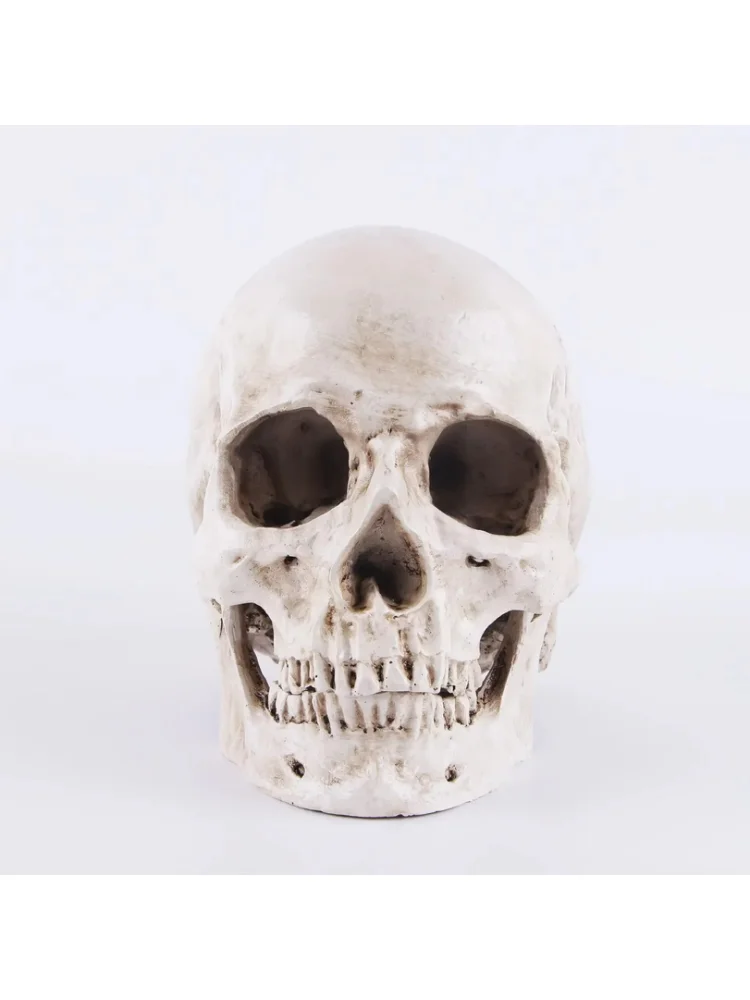 1:1 Rzeźba Czaszki, Dekoracja na Halloween, Rzeźba z Żywicy, Czaszka, Szkielet, Rękodzieło do Malowania, Rekwizyty Medyczne, Dekoracja Barowa, Dekoracja Domu — 2