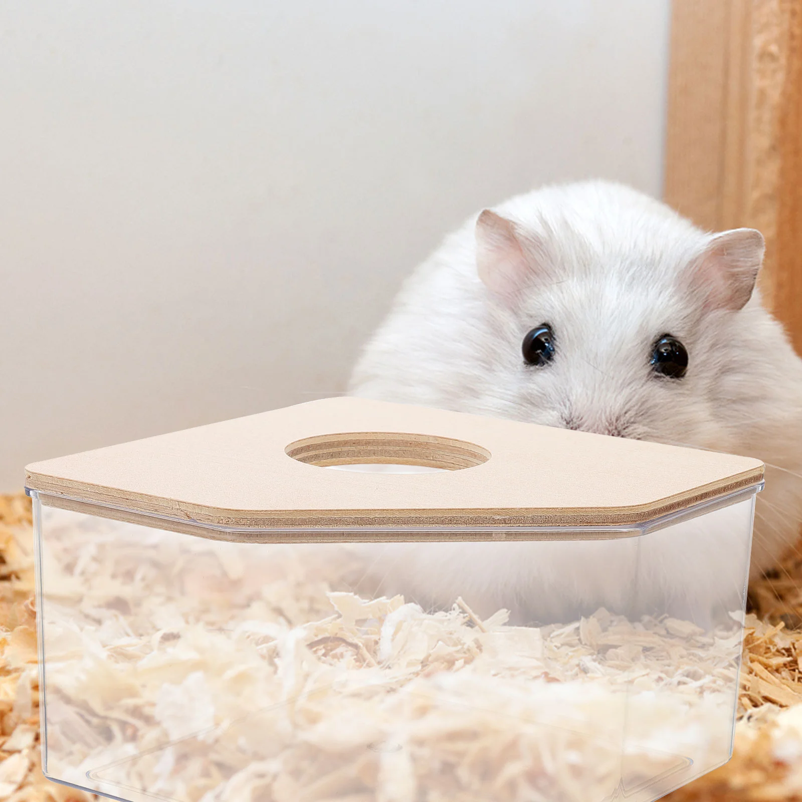 

Hamster Sandbox Chinchilla Lid Rabbit Household Bathtub Transparent Accessories