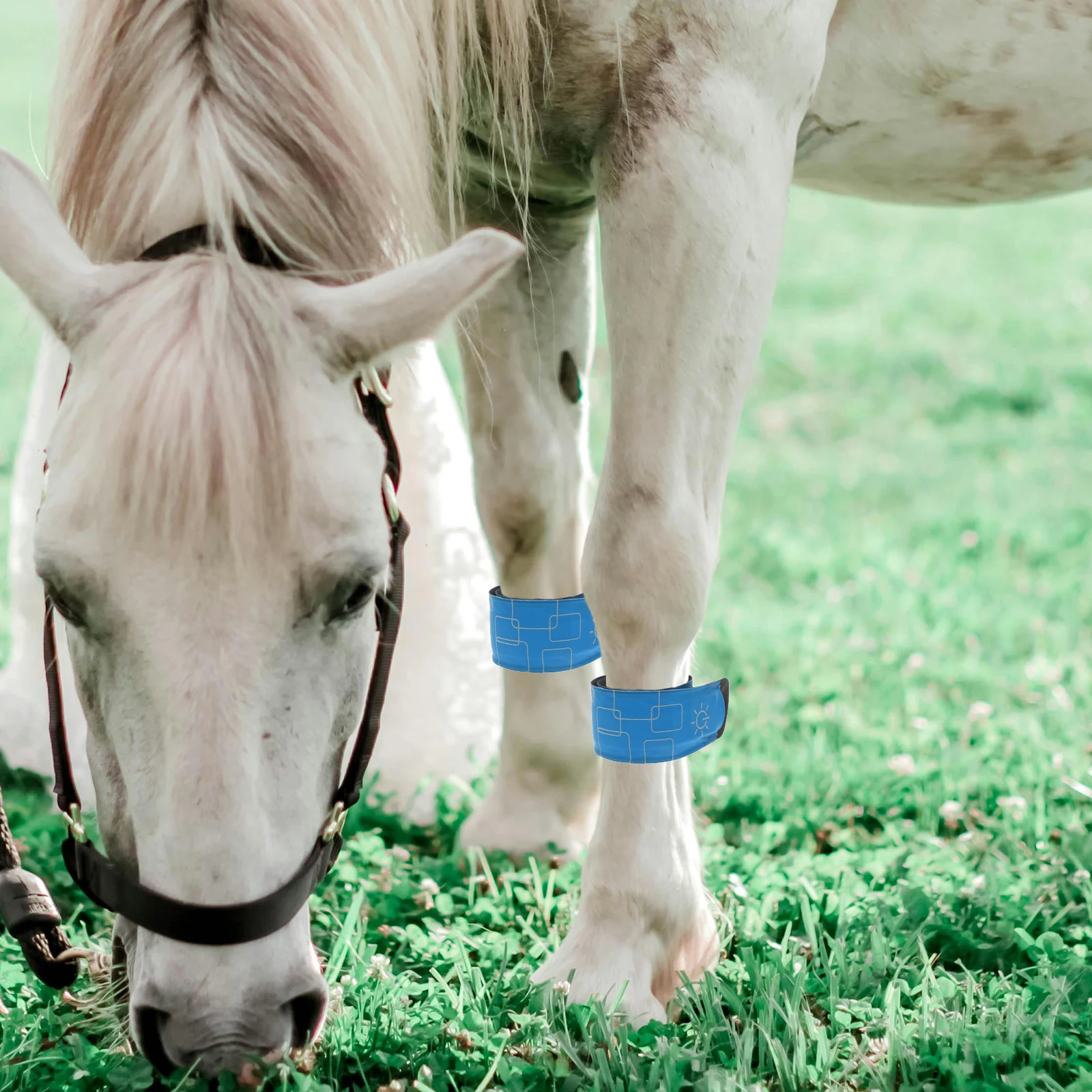 4 pçs led cavalo tornozelo bandas ajustável perna envolve luzes brilhantes recarregáveis para noite correndo ciclismo equitação segurança ao ar livre