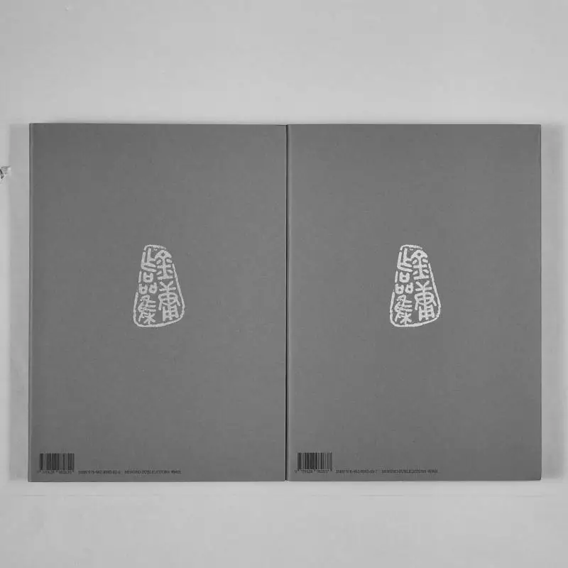 Flying Fox Side Story إصدار القراءة الممتع 2 مجلدات مجموعة كاملة من جمعية Jin Yong Minghe 97896282837 كتاب #3