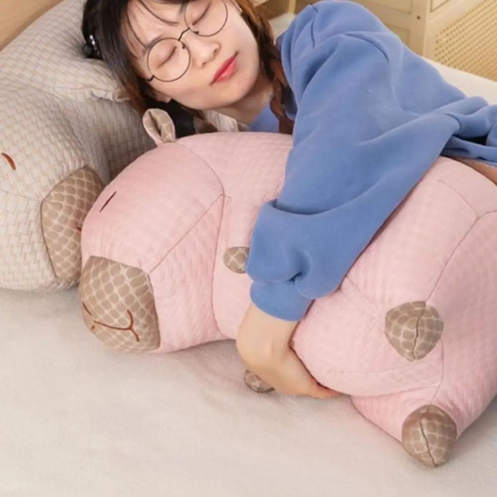 홈 장식 멋진 표면 Capybara 플러시 장난감 얼음 실크 상쾌한 Capybara 플러시 베개 사랑스러운 여름 멋진 콩 Capybara 인형 어린이