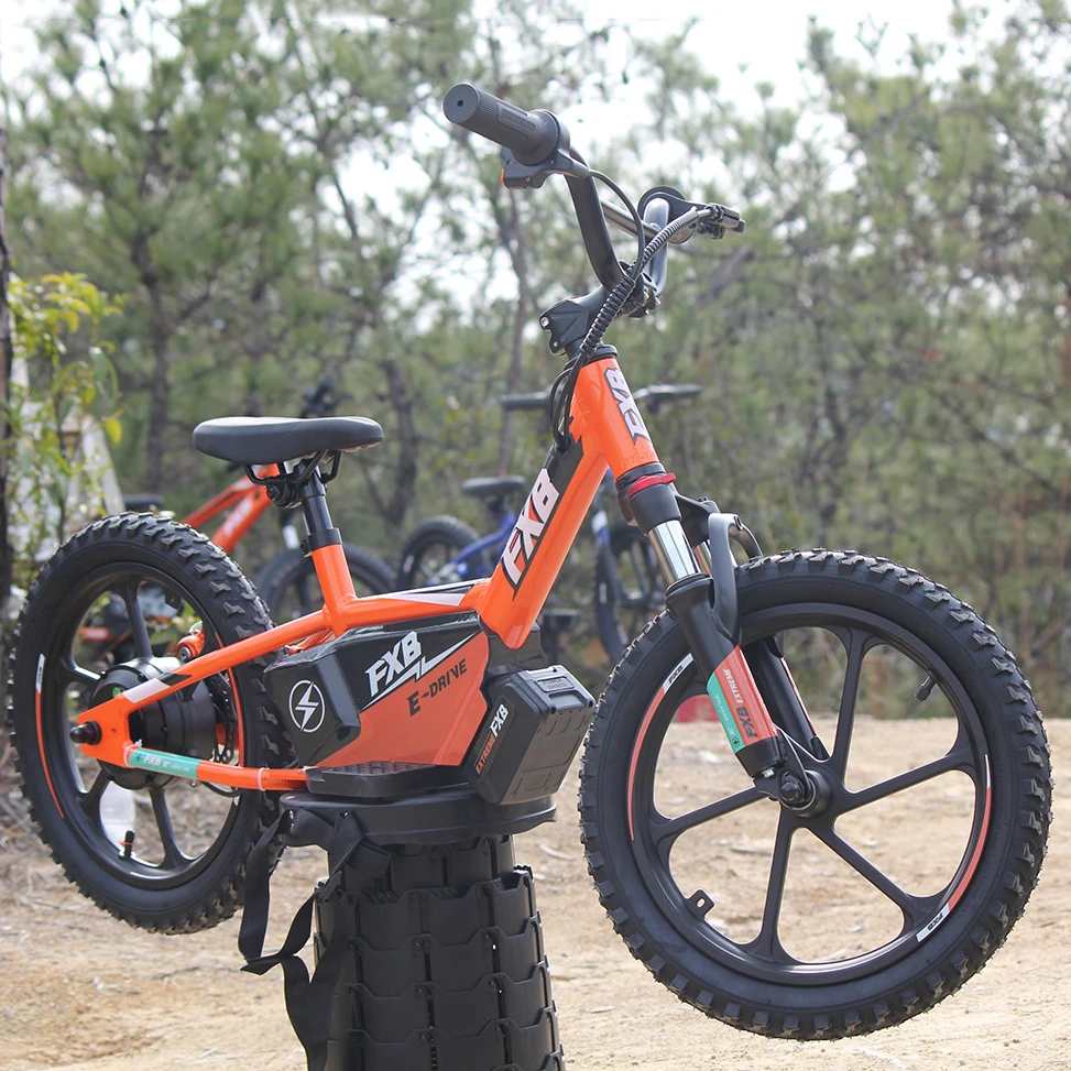 16" 350W 36V 5Ah To…