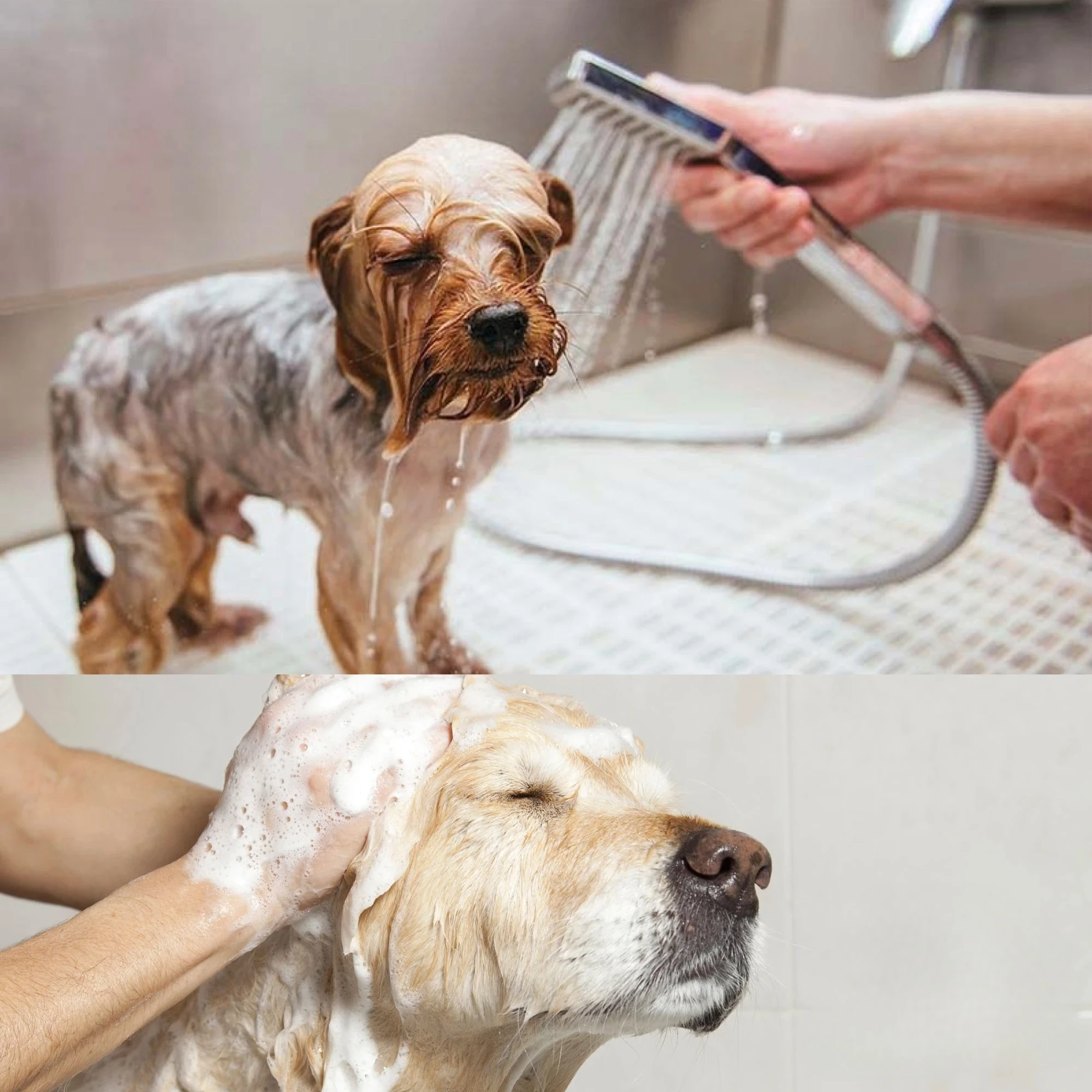 متعددة الوظائف Petproofing سبا الفولاذ المقاوم للصدأ الكلب الاستحمام حوض معدني كلب غسل ومحطة الاستمالة #6