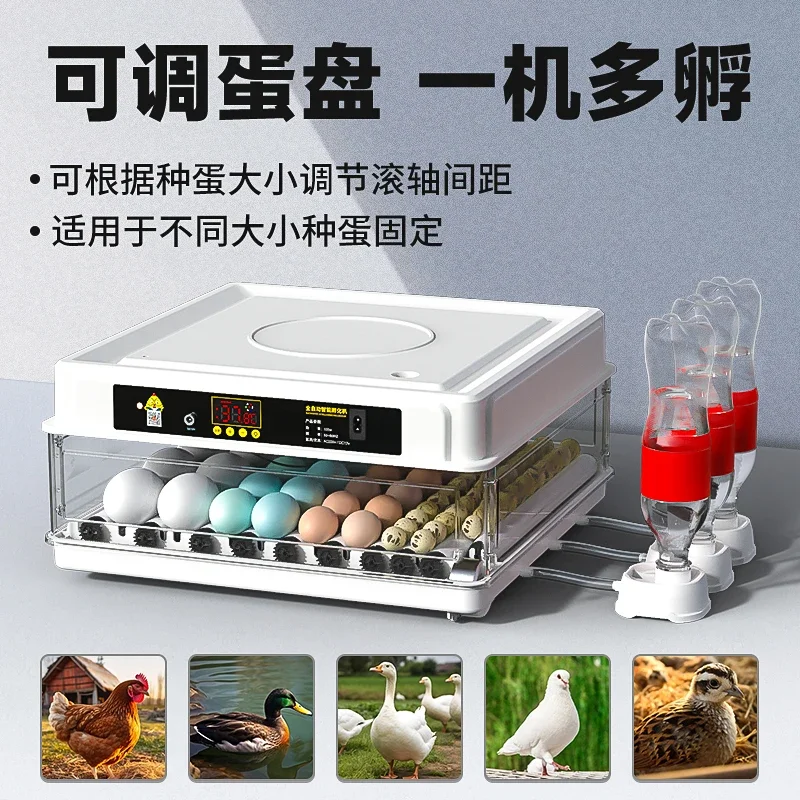 Incubator Small Household Egg Incubator Water Bed Rutin Chick Quail Parrot Bird Egg Mini