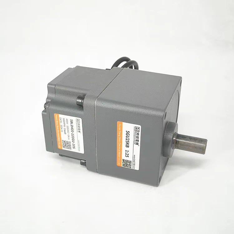 

5BLD200w Speed Regulating Motor 220v Micro AC Brushless Motor Constant Torque DC Brushless Geared Motor